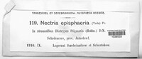 Dialonectria episphaeria image